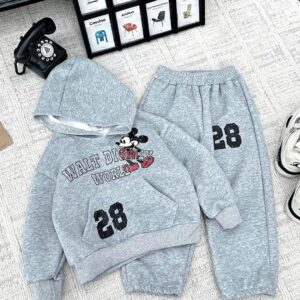 Disney Hoodie Set
